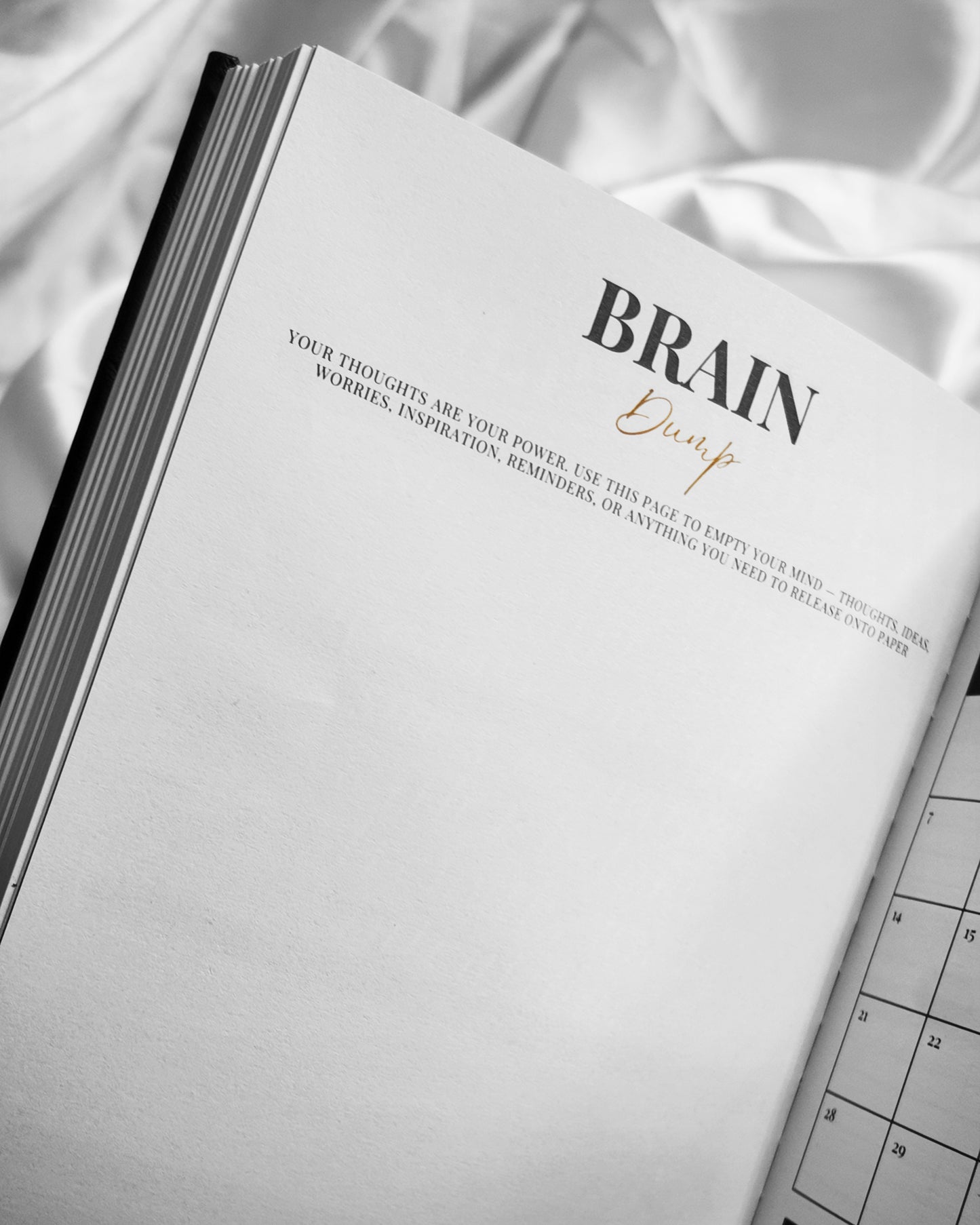 She Is. She Does 2026 Planner (Gifted Wrapped)